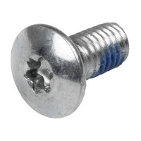Болт крепления рамы Powerslide Torx Mounting Screw small head 13,5mm