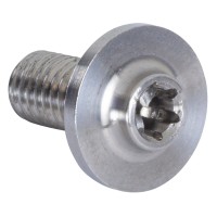 Болт крепления рамы Powerslide Titanium Mounting Screws Torx T25 12mm