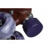 Ролики квады Chaya Elite Purple Evil 8 в магазине Rollbay.ru
